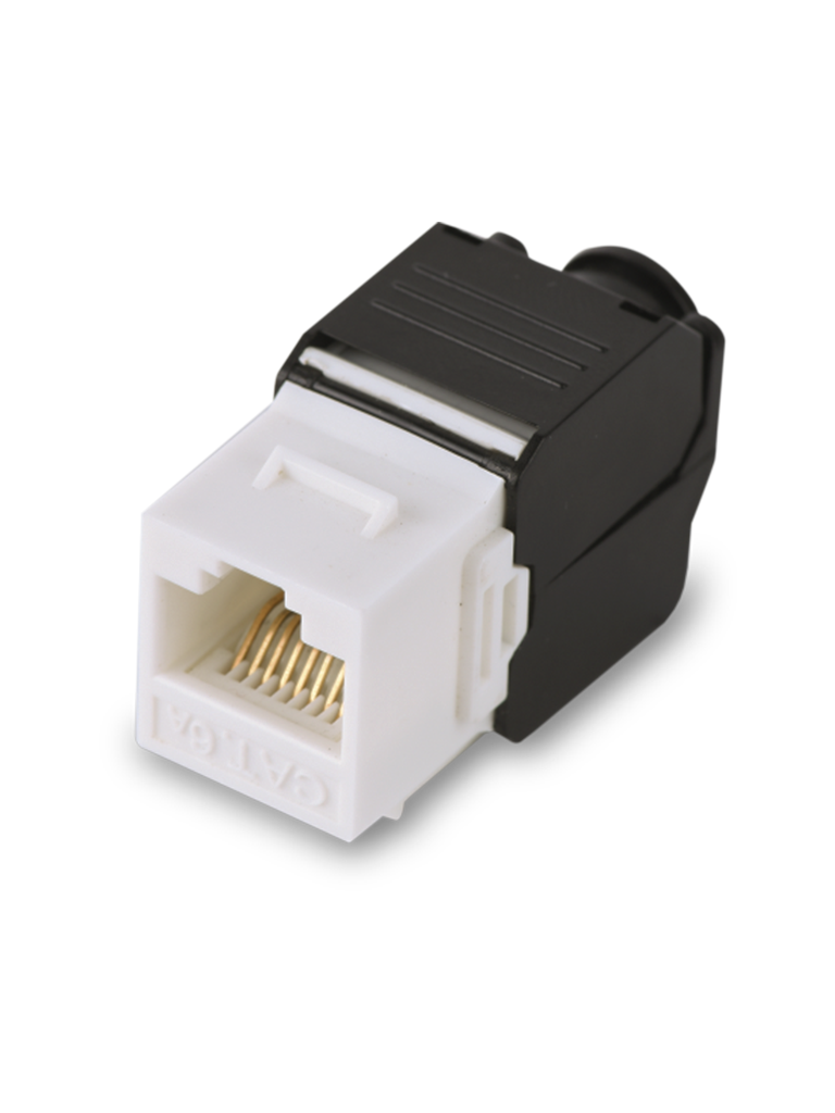 SAXXON M242C6 - Modulo jack keystone RJ45 / Armado sin herramienta / 8 Hilos / CAT 6 / Compatible con calibres  AWG 22-26 / Color blanco