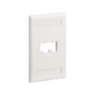 Placa de Pared Vertical Clásica, Salida Para 2 Puertos Mini-Com, Con Espacios Para Etiquetas, Color Blanco